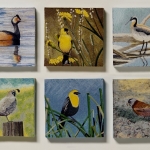 Six Birds