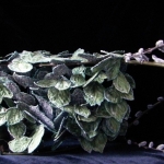 Loose Leaf Tea