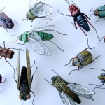 Bugs