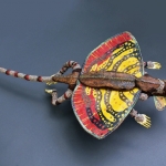 Glidding Lizard