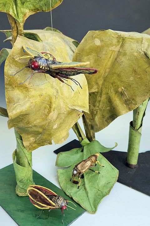 Nature’s Network by Andrea Uravitch Grounds by Linda Colsh, 2015
